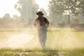 SUKHOTHAI, THAILAND - NOVEMBER 5, 2019 : An unidentified people spraying chemical to young green rice field in Sukhothai on