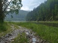 Sukhoy Pit river after rain. Royalty Free Stock Photo