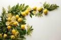 Sukkot festival symbols on white color background