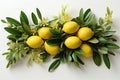 Sukkot festival symbols on white color background