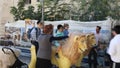 Sukkot in Jerusalem.Old Town Kotel Maaravi