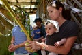 Sukkot Jewish Holiday