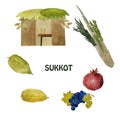 Sukkot, a Jewish holiday. With the image of Etrog, lulav, hadas, arava. Hand drawn illustration.