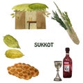 Sukkot, a Jewish holiday. With the image of Etrog, lulav, hadas, arava. Hand drawn illustration.