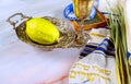 Sukkot, Jewish Orthodox festival, features use of traditional symbols such as four species Etrog, lulav, hadas, arava.