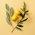 Sukkot symbols: palm tree, willow, myrtle, lemon on a yellow background