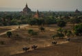 Sulamani temple from top of Pyathatgyi pagoda at sunset, bagan, Mandalay region, Myanmar Royalty Free Stock Photo