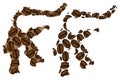 Sulawesi - map of coffee bean