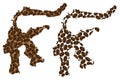 Sulawesi - map of coffee bean