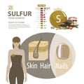 Sulfur. The effect of minerals on human health.