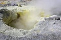 Sulfur fumarole in crater active volcano