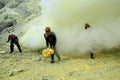 Sulfur miners in the Ijen crater. The health condition of miners is very risky