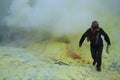 Sulfur miners in the Ijen crater. The health condition of miners is very risky