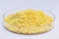 Sulfur powder in petri dish, chemical for industrial use, isolated white background