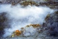 Sulfur at the Solfatara crater, Pozzuoli, Naples, Italy Royalty Free Stock Photo