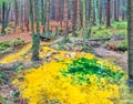 Sulfur source in Lusatian Mountains in autumn