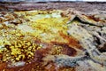 The sulfur spring in the Danakil depression in Dallol Royalty Free Stock Photo