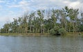 Sulina Danube delta orest