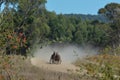 Sulky drivers exercising in open field in Tasmania