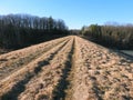 Sullivanville Watershed Dam overlook easy walking trail Chemung County