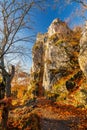 The Sulov castle ruin at autumn morning