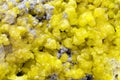 Sulphur Crystal Mineral Macro