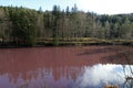 Sulphur purple bacteria colour a lake in Allgaeu red, pink or purple