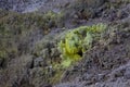 Geothermal ground with Sulfur in green area New-Zealand Royalty Free Stock Photo