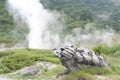 Sulphurous mountain valley with hot spring stream and steam at Tamagawa Onsen Hot spring in Senboku city, Akita prefecture, Tohoku