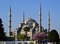 Sultan Ahmed Blue Mosque, Istanbul, Turkey Royalty Free Stock Photo