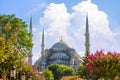 Sultan Ahmed Mosque Blue Mosque, Istanbul, Turkey. Royalty Free Stock Photo