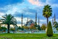 Sultan ahmed Mosque or Blue Mosque, Istanbul, Turkey Royalty Free Stock Photo