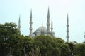 sultan ahmet mosque istanbul behind the trees Royalty Free Stock Photo
