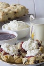 Sultana Scones with Jam and Cream and Tea