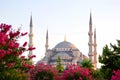 Sultanahmet, Blue Mosque Royalty Free Stock Photo