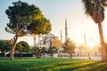 Sultanahmet blue mosque at sunset, Istanbul ,Turkey Royalty Free Stock Photo
