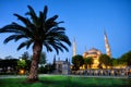 Sultanahmet Mosque Sultanahmet Mosque with palm tree Royalty Free Stock Photo