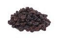Sultanas or Raisins heap on white Royalty Free Stock Photo