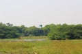 Sultanpur National Park