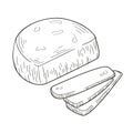 Suluguni Sakartvelo cheese in line art, hand drawn style. Cut slices of delicious soft cheese. Vector illustration Royalty Free Stock Photo