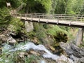 Sum Falls in the Vintgar Gorge or Bled Gorge - Bled, Slovenia Triglav National Park - Der Wasserfall Sum am Ende der Vintgar