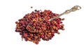 Sumac pronounced and also spelled sumach, sumak, soumak, and sumaq. Fruit isolated Royalty Free Stock Photo