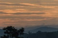 Sumac tree silhouette swaying in soft breeze against amazing sunrise cloudscape copy space