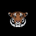 Sumatran tiger face vector Royalty Free Stock Photo