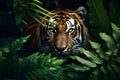 Sumatran Tiger in the jungle - Ai Generated