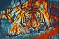 Sumatran tiger Panthera tigris sumatrae beautiful animal and his portrait, Portrait of tiger, zoo