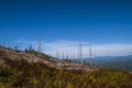 Sumava Mountains