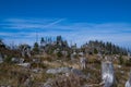 Sumava Mountains