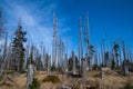 Sumava Mountains