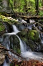 Sumava stream